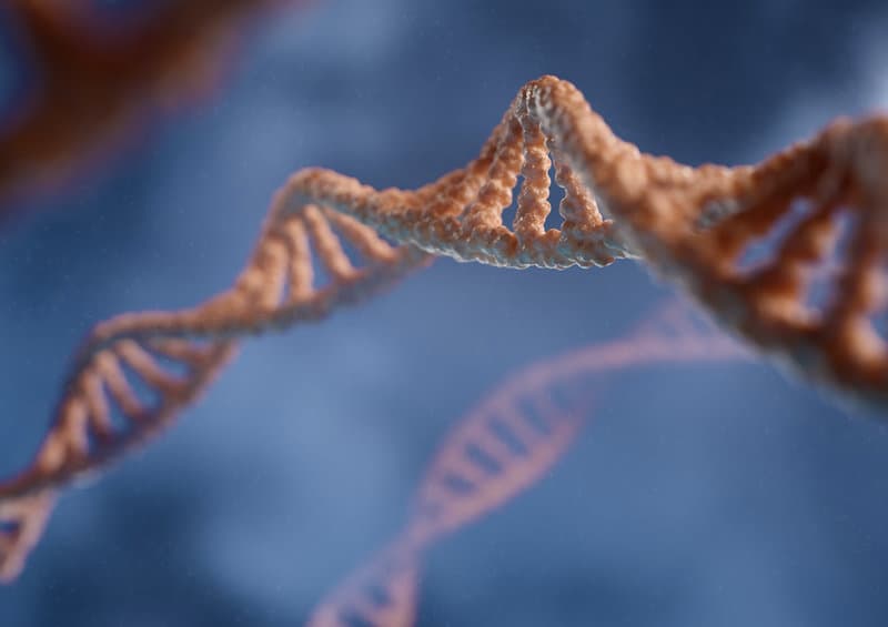 COMT Mutations: What They Mean for Your Health
